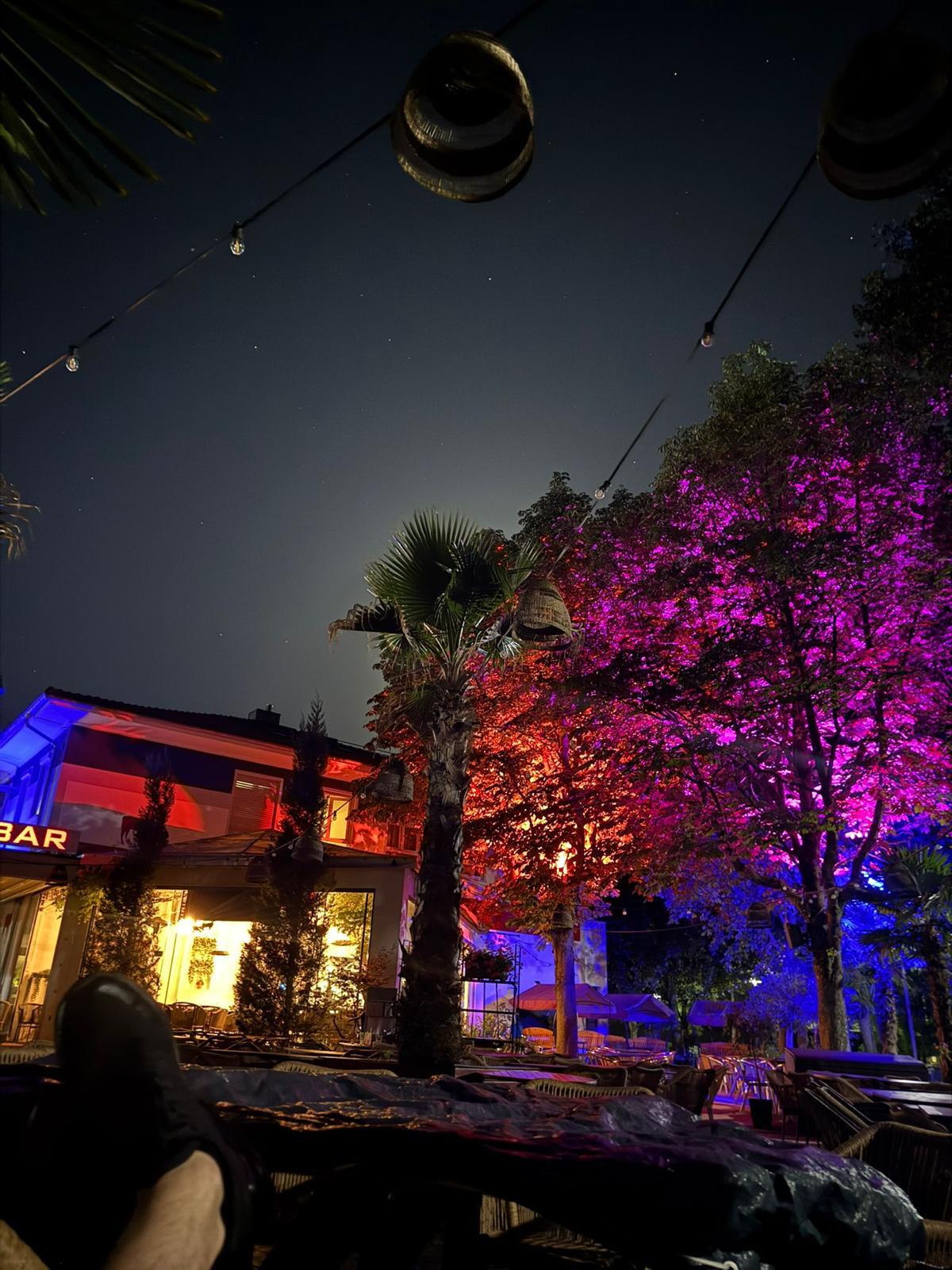 Lamabar Terrasse bei Nacht mit Palmen